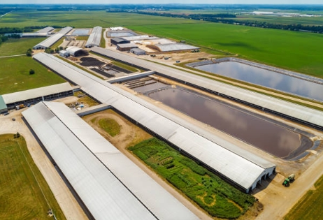 What Are The Products of Sewage Treatment