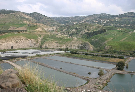 How To Maintain Sewage Treatment Plant