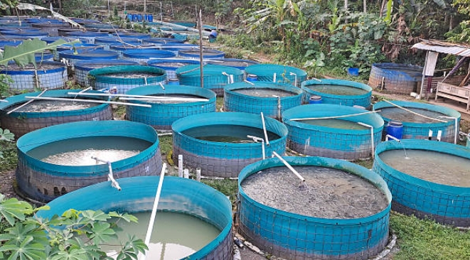 What Is the Capacity of Sewage Treatment Plants Near Me