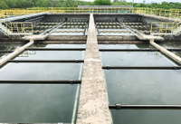 //irrorwxhpqjqln5m.ldycdn.com/cloud/liBppKnploSRrlknniirjq/How-Do-Microorganisms-Help-in-The-Treatment-of-Sewage-_1.jpg