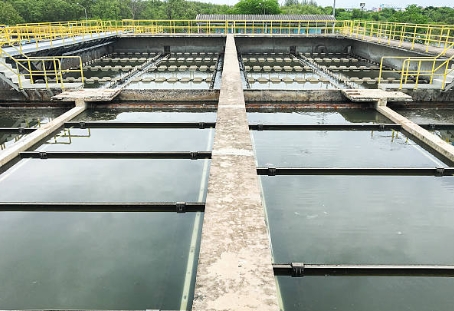How Do Microorganisms Help in The Treatment of Sewage-_1