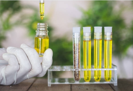 What Are the Natural Sources of Raw Materials in the Chemical Industry-_1