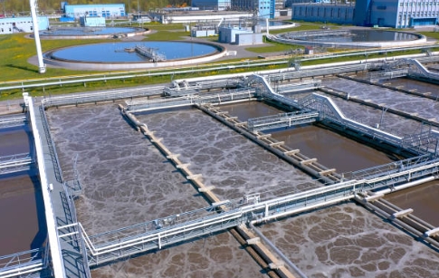 How Does Bacteria Help in Sewage Treatment-_1