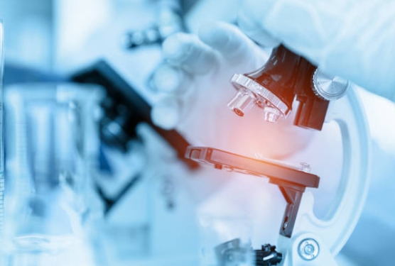 Who Are the Best Chemical Raw Materials Distributors in 2024-_1