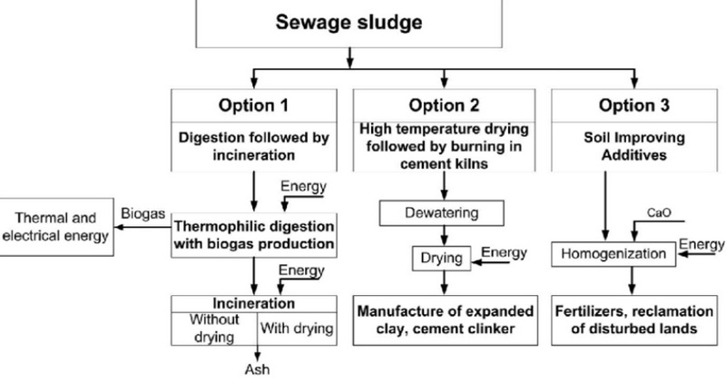 Comparative Analysis of Different Sewage Treatments_3