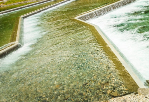What Is Activated Sludge Sewage Treatment