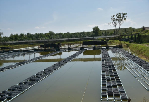 What Is A Sewage Treatment Settling Tank Called in Construction