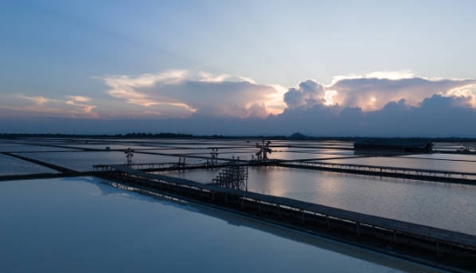 What Are Three Processes of Sewage Treatment