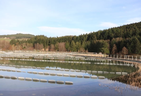 What Is Tertiary Sewage Treatment Plant