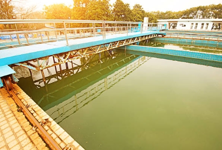 How Do Microorganisms Help in The Treatment of Sewage-_2