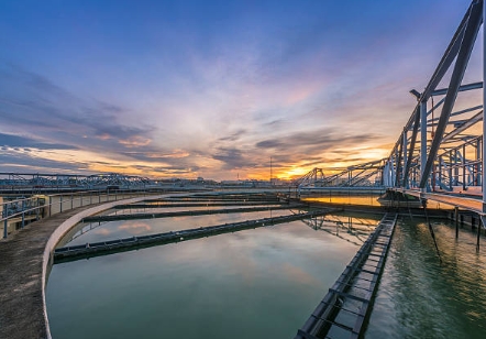 How Can Wetlands Can Be A Natural Sewage Treatment Process-_1