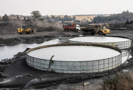 Is Tilapia Used in Sewage Treatment.jpg
