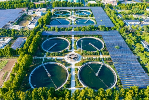 What Year Did Montreal Build Its First Sewage Treatment Plant
