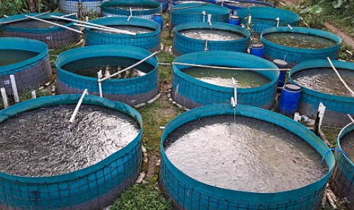 Who Certified Sewage Treatments Plants on Ships
