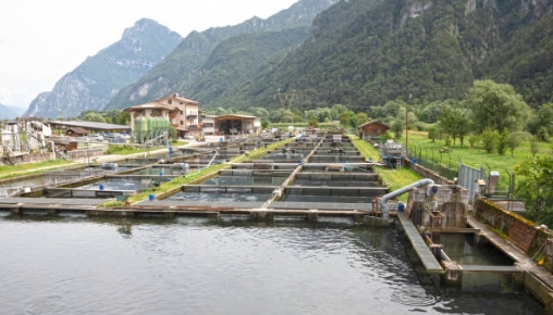 How Important Are Sewage Treatment Plants-_3