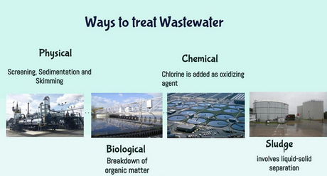 are protists used in sewage treatment-_2.jpg