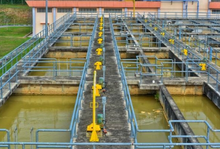 How Can Wetlands Can Be A Natural Sewage Treatment Process-_3