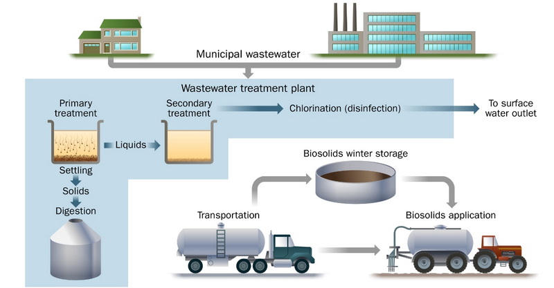 Training Your Staff on Best Practices for Sewage Management_1