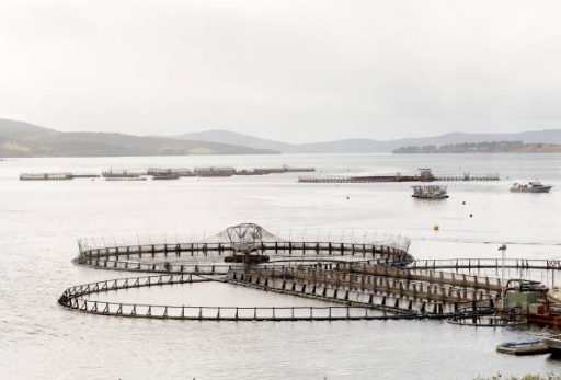 What Is A Small Sewage Treatment Plant