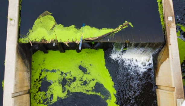 What Does Advanced Sewage Treatment Include