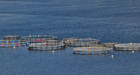 //irrorwxhpqjqln5m.ldycdn.com/cloud/llBppKnploSRilqoknorjp/Where-Are-Sewage-Treatment-Plants-Located.jpg