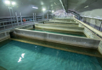 //irrorwxhpqjqln5m.ldycdn.com/cloud/llBppKnploSRjlripimqjp/What-Are-the-Qualifications-for-NYC-Sewage-Treatment-Jobs.jpg