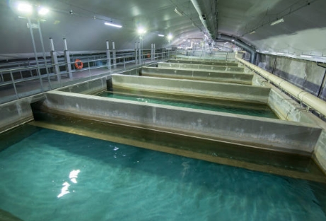 What Are the Qualifications for NYC Sewage Treatment Jobs