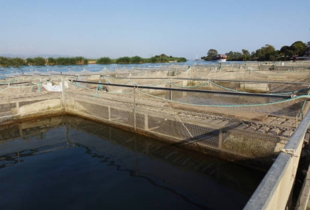 How Does Primary Sewage Treatment Work-_3