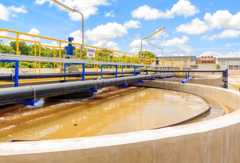 How Does Aerobic Bacteria Play A Part in Sewage Treatment-_3