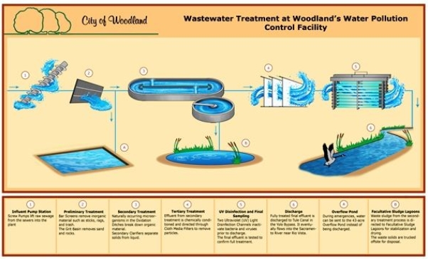Do Sewage Treatment Plants Reduce Water Pollution-_1