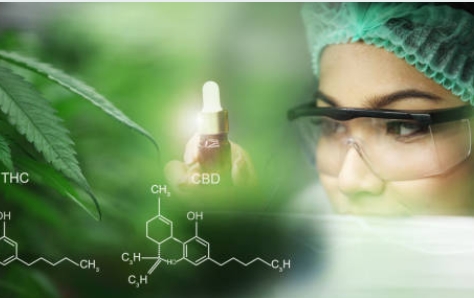 Where Do Specialty Chemical Manufacturers Source Their Raw Materials-_3.jpg