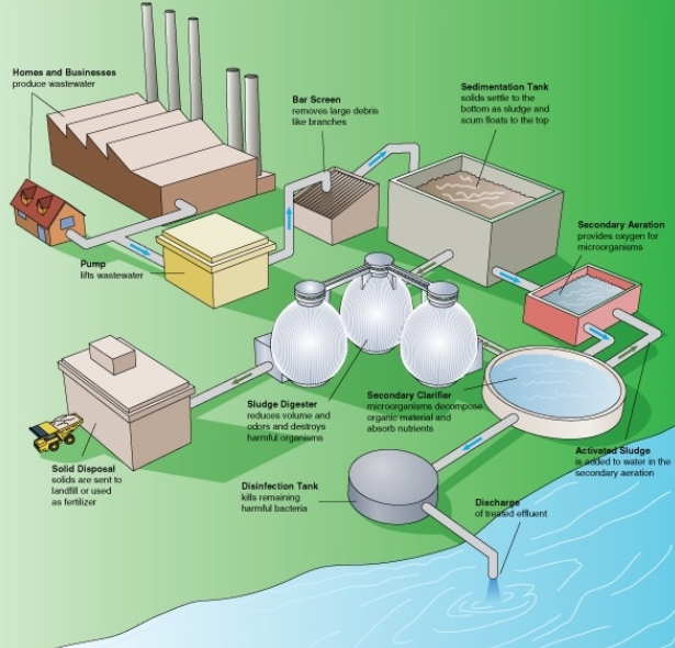 are protists used in sewage treatment-_3