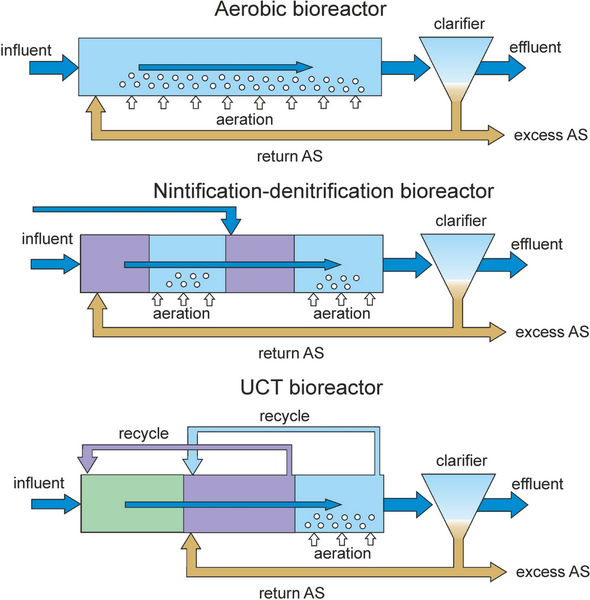 which microbes help in sewage treatment-