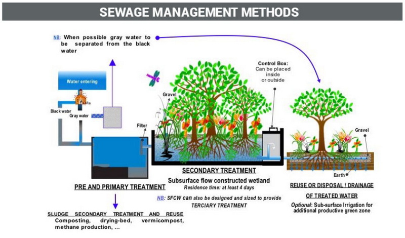 Training Your Staff on Best Practices for Sewage Management_2