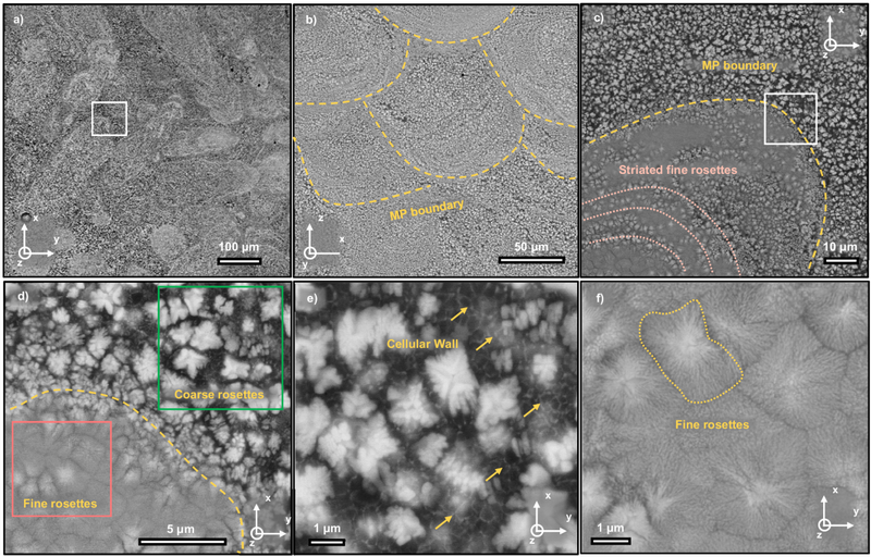 Research Trends Shaping the Future of Treatment Additives