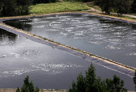 What Are The Three Steps in Sewage Treatment