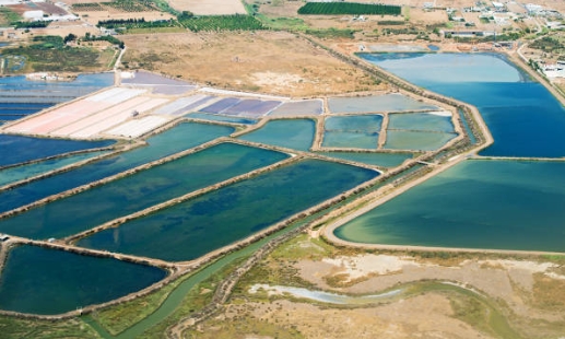 What Is Sewage Treatment with Prokaryotes Clld