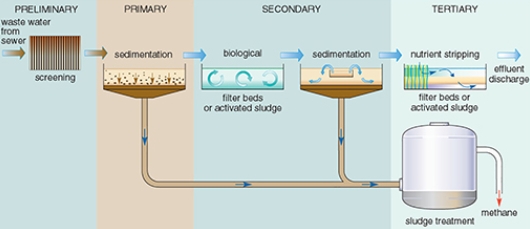 are pure bacteria added to primary sewage treatment-_1