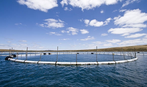 How Much Do Sewage Treatment Plants Cost for Cruises-_3