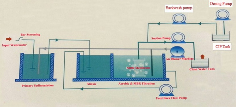 can sewage treatment plants filter toxoplasmosis-_1