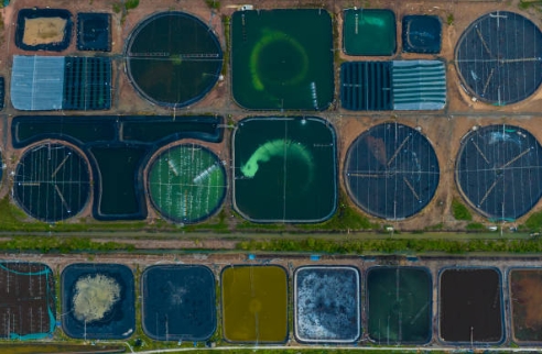 What Is Chemical Sewage Treatment Plant