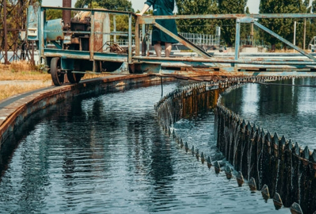 What Comes Out After Sewage Treatment Plant.jpg