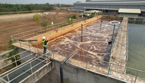 How Do Microbes Help in Sewage Treatment-_1
