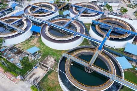 How Do Microorganisms Help in Sewage Treatment-_2