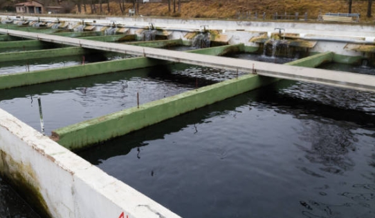 How Does A Modad Sewage Treatment System Work-_2