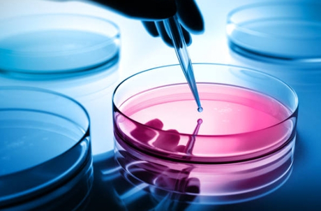What Makes New AWA Company for Chemical Raw Materials A Trusted Supplier-_1.jpg