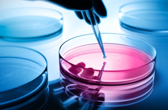 What Makes New AWA Company for Chemical Raw Materials A Trusted Supplier-_1