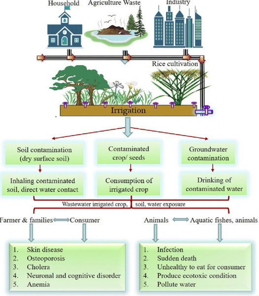 The Impact of Sewage Treatment on Public Health_3