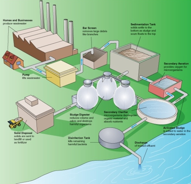which microbes are used in sewage treatment-_1