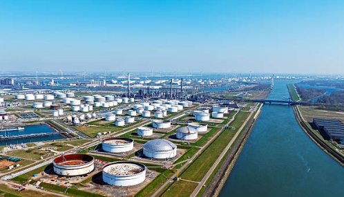 Which of The Following Play Some Role in Sewage Treatment